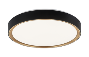 Alamus Ceiling Mount