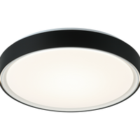 Alamus Ceiling Mount