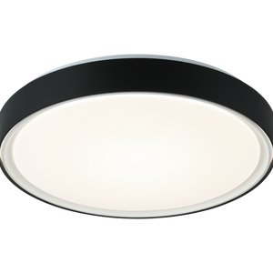 Alamus Ceiling Mount