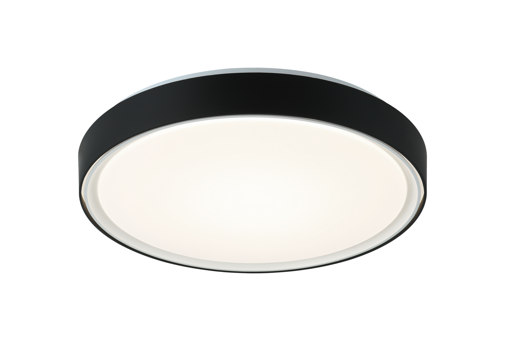 Alamus Ceiling Mount