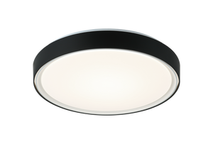 Alamus Ceiling Mount