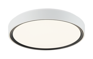 Alamus Ceiling Mount