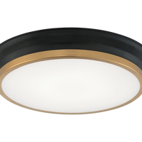 JAXX Ceiling Mount