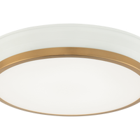 JAXX Ceiling Mount