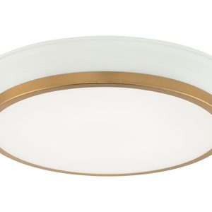JAXX Ceiling Mount