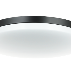 Orion Ceiling Mount