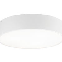 Snare
