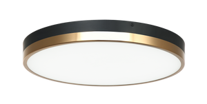 A sleek and contemporary take on the traditional round flush mount. These LED flush mounts are offered with contrasting finish combinations - Black with Chrome and Aged Gold Brass with White. Tone is a versatile fixture, suitable for any room.