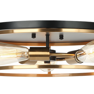 Clarke Flush Mounts
