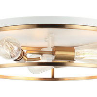 Clarke Flush Mounts