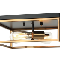 Clarke Ceiling Mount