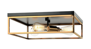 Clarke Ceiling Mount