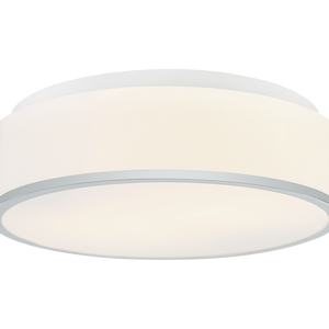 Echo