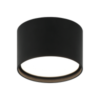 CARAVON Ceiling Mount