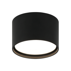 CARAVON Ceiling Mount