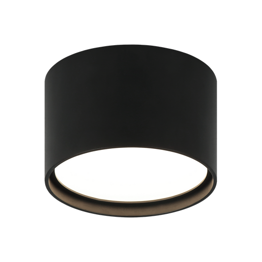 CARAVON Ceiling Mount