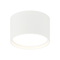 CARAVON Ceiling Mount