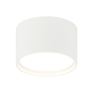 CARAVON Ceiling Mount