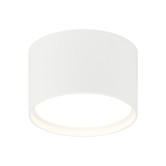 CARAVON Ceiling Mount