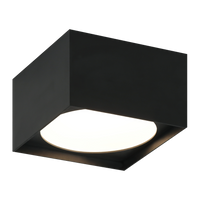CARAVON Ceiling Mount