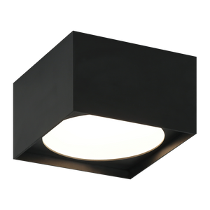 CARAVON Ceiling Mount
