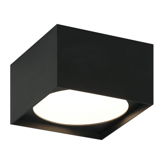 CARAVON Ceiling Mount