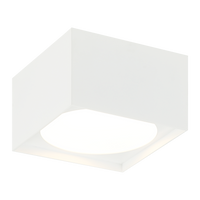 CARAVON Ceiling Mount