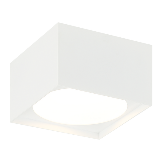 CARAVON Ceiling Mount