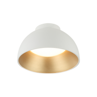 Zenith Flush Mounts