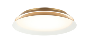 With a unique design and two-tier design that offers both a contemporary or traditional look, the Dahlia delivers a 5CCT LED output at the bottom and middle. Fixture comes in Aged Gold Brass and Matte Black with White interior.