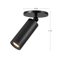 Mason Semi-Flush Mount