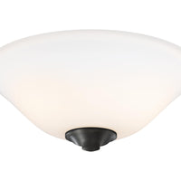 2 - Light LED Light Kit