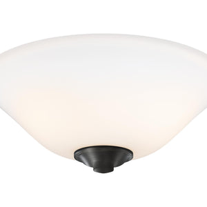 2 - Light LED Light Kit