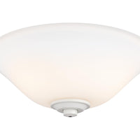 2 - Light LED Light Kit