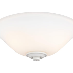 2 - Light LED Light Kit
