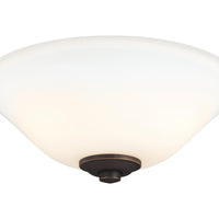 2 - Light LED Light Kit