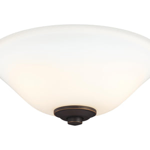 2 - Light LED Light Kit