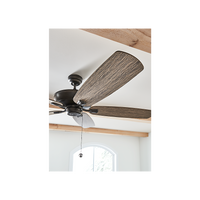 Colony 60" Ceiling Fan