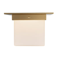 Mineral Flush Mount