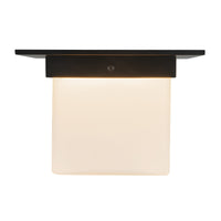 Mineral Flush Mount