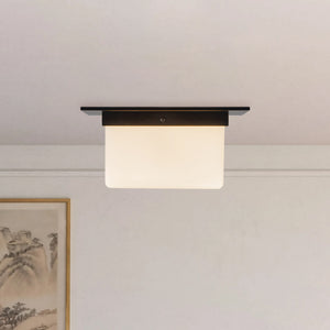 Mineral Flush Mount