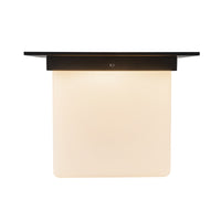 Mineral Flush Mount