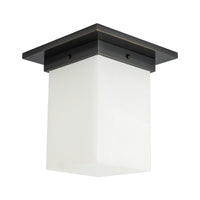 Mineral Flush Mount