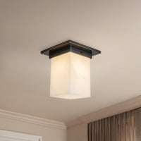 Mineral Flush Mount