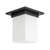 Mineral Flush Mount