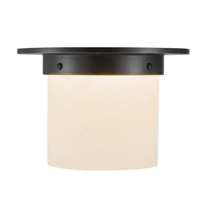 Mineral Flush Mount