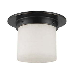 Mineral Flush Mount