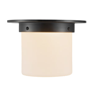 Mineral Flush Mount