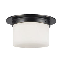Mineral Flush Mount