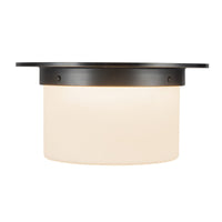 Mineral Flush Mount